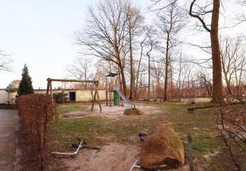 470475-Vorschaubild3