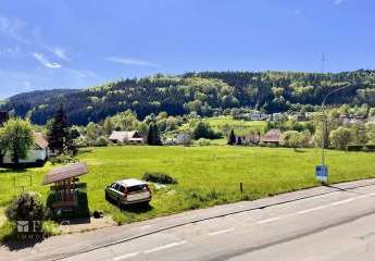 420182-Vorschaubild2