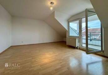 471924-Vorschaubild4