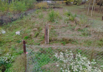 478694-Vorschaubild2