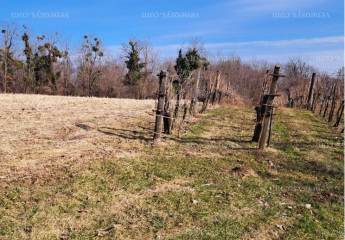 Ungarn: Großes Grundstück bei Zalakaros; Strom, Wasser vorhanden!
