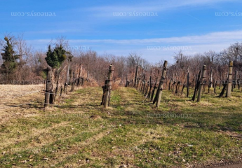 478704-Vorschaubild2