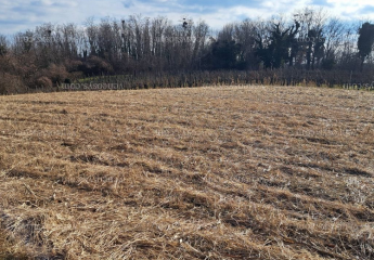 478704-Vorschaubild3