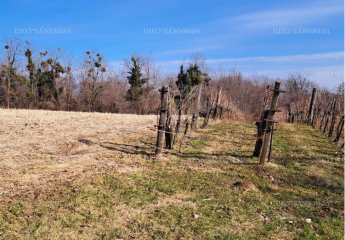 478704-Vorschaubild4