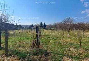 478714-Vorschaubild3