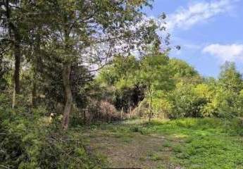 478908-Vorschaubild2