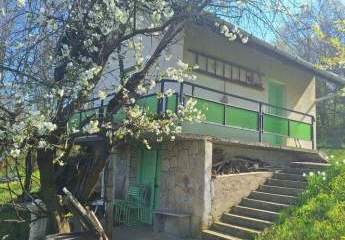 Ungarn: Preishit!! Ferienhaus im Bergpanorama mit Obstgarten bei Zalaegerszeg