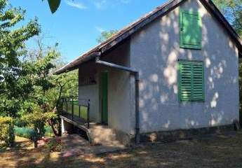 479125-Vorschaubild2