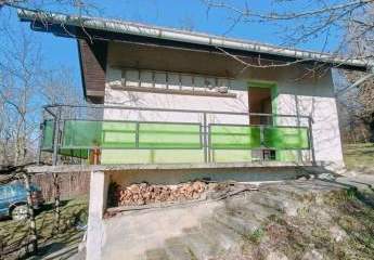 479125-Vorschaubild3