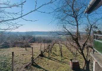 479125-Vorschaubild4