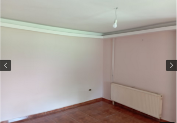 479565-Vorschaubild4