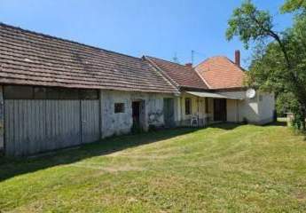 485502-Vorschaubild3