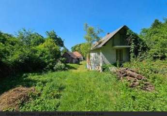 485502-Vorschaubild2