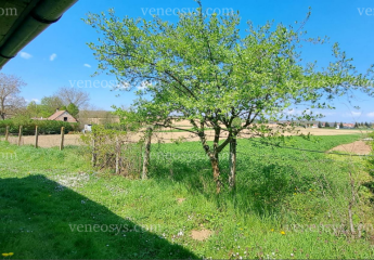 485726-Vorschaubild3