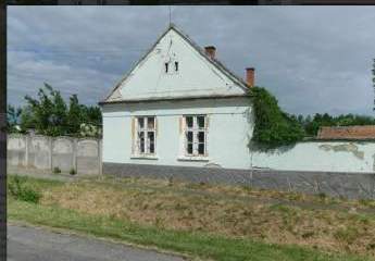 493066-Vorschaubild4