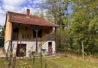 Ungarn-Zalaegerszeg: Gutes, gepflegtes Weinberghaus zum Verkauf: