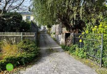 456663-Vorschaubild3