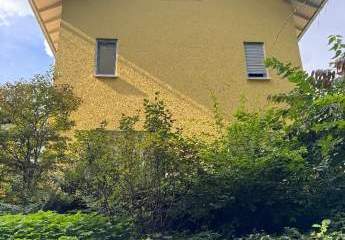 456663-Vorschaubild4