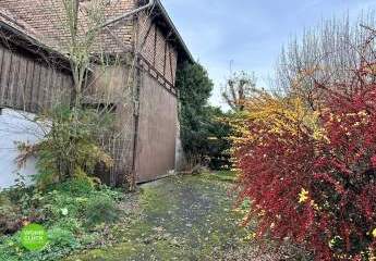 457613-Vorschaubild4