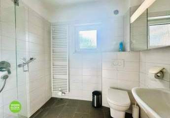 449459-Vorschaubild4