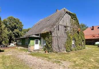 411066-Vorschaubild2