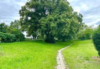 428615-Vorschaubild4