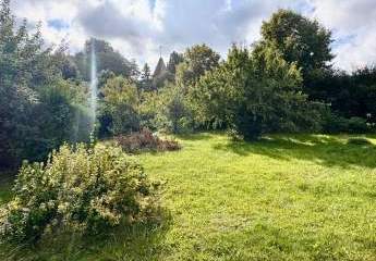 443423-Vorschaubild3