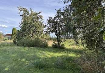 443424-Vorschaubild3