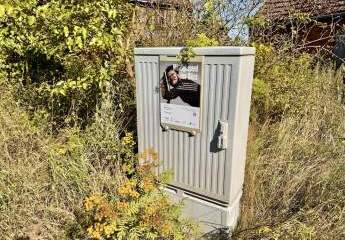 443425-Vorschaubild4