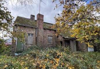 451739-Vorschaubild3