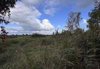 451739-Vorschaubild4