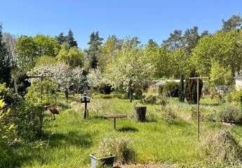 453145-Vorschaubild2