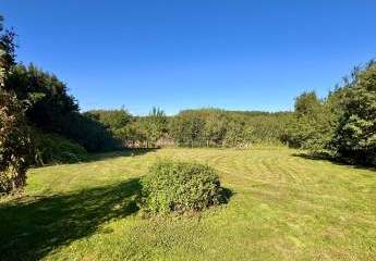 454278-Vorschaubild4