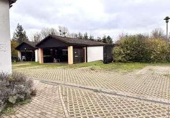 460912-Vorschaubild3