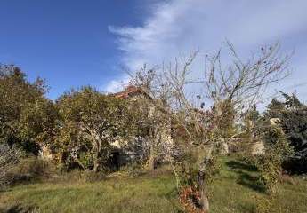 462698-Vorschaubild4