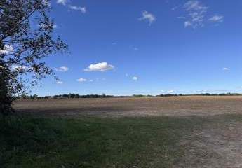 450318-Vorschaubild2