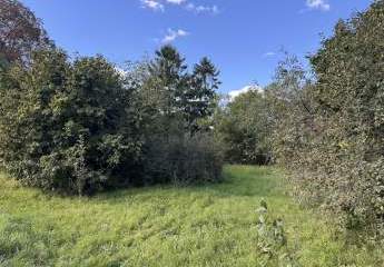 450318-Vorschaubild3