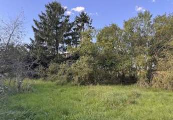 450318-Vorschaubild4