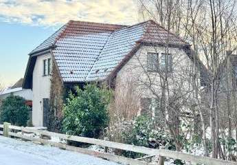 467294-Vorschaubild3