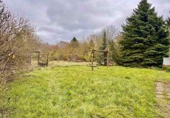 472142-Vorschaubild4