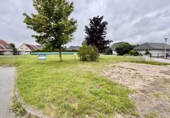 475014-Vorschaubild2