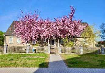 477231-Vorschaubild2