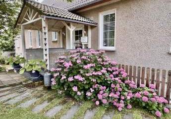 477231-Vorschaubild4