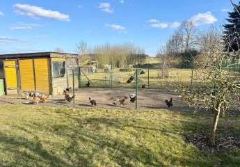 475011-Vorschaubild2