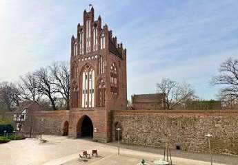 480985-Vorschaubild3