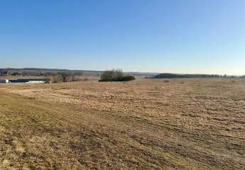 483421-Vorschaubild4