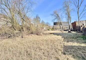 485877-Vorschaubild4