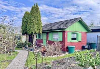 486242-Vorschaubild4