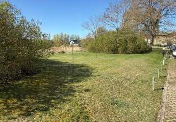 487571-Vorschaubild4