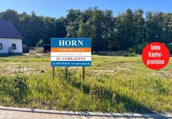 HORN IMMOBILIEN ++ Baugrundstücke in Eggesin